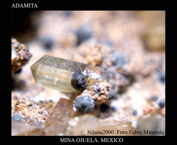 (Autor: Juan de Laureano)