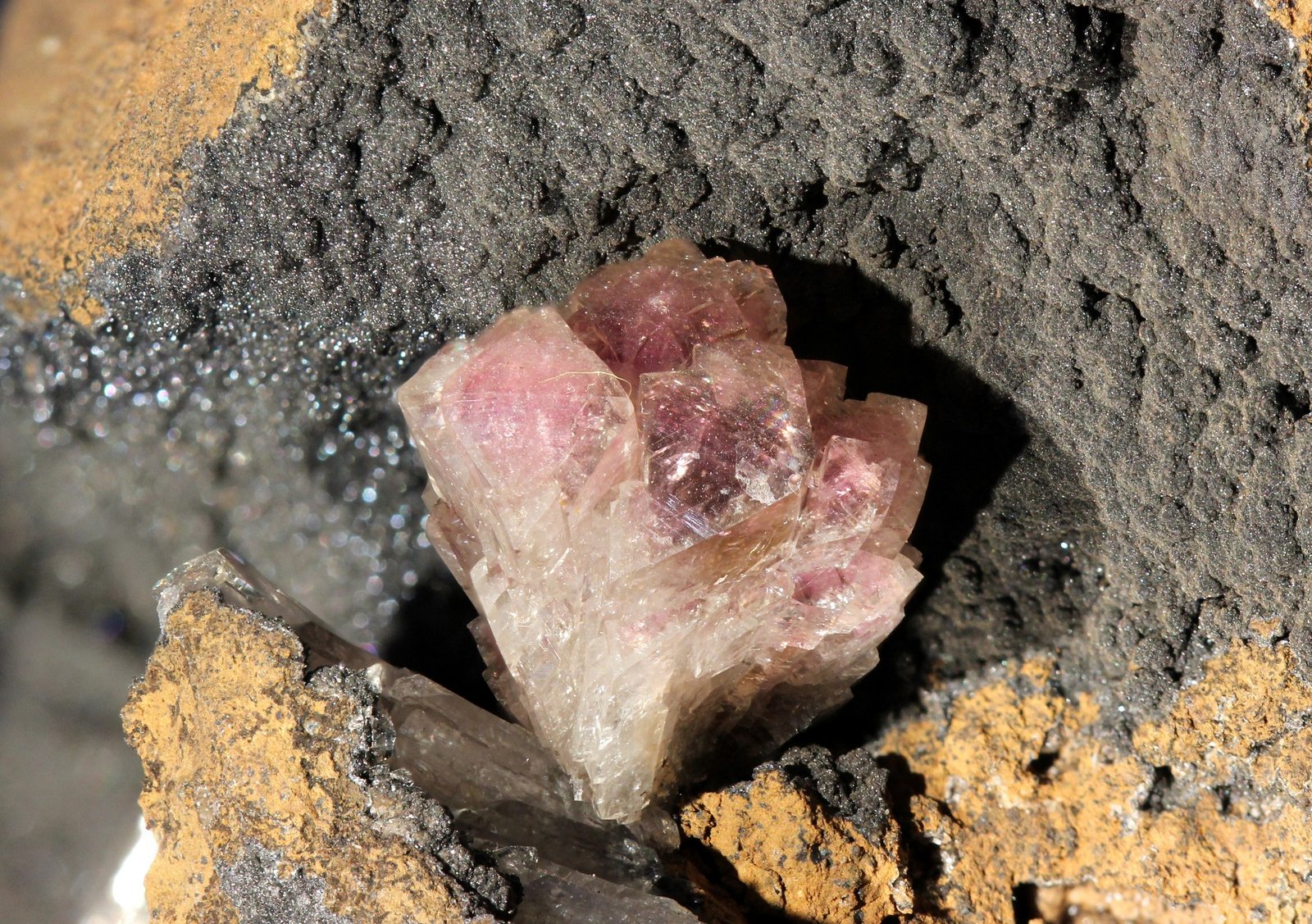 Adamita
cristal 10 mm
(Autor: Ramon A  Lopez Garcia)