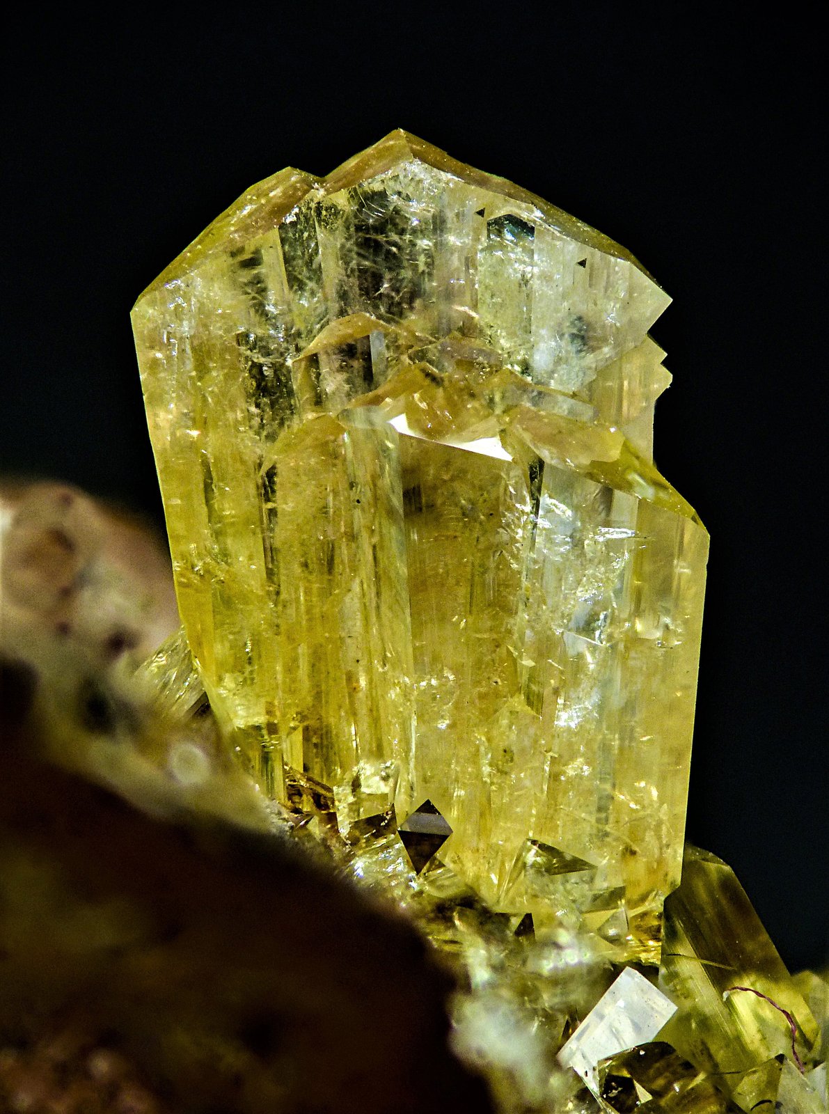 Adamita
4 mm
(Autor: Borja Sainz de Baranda)