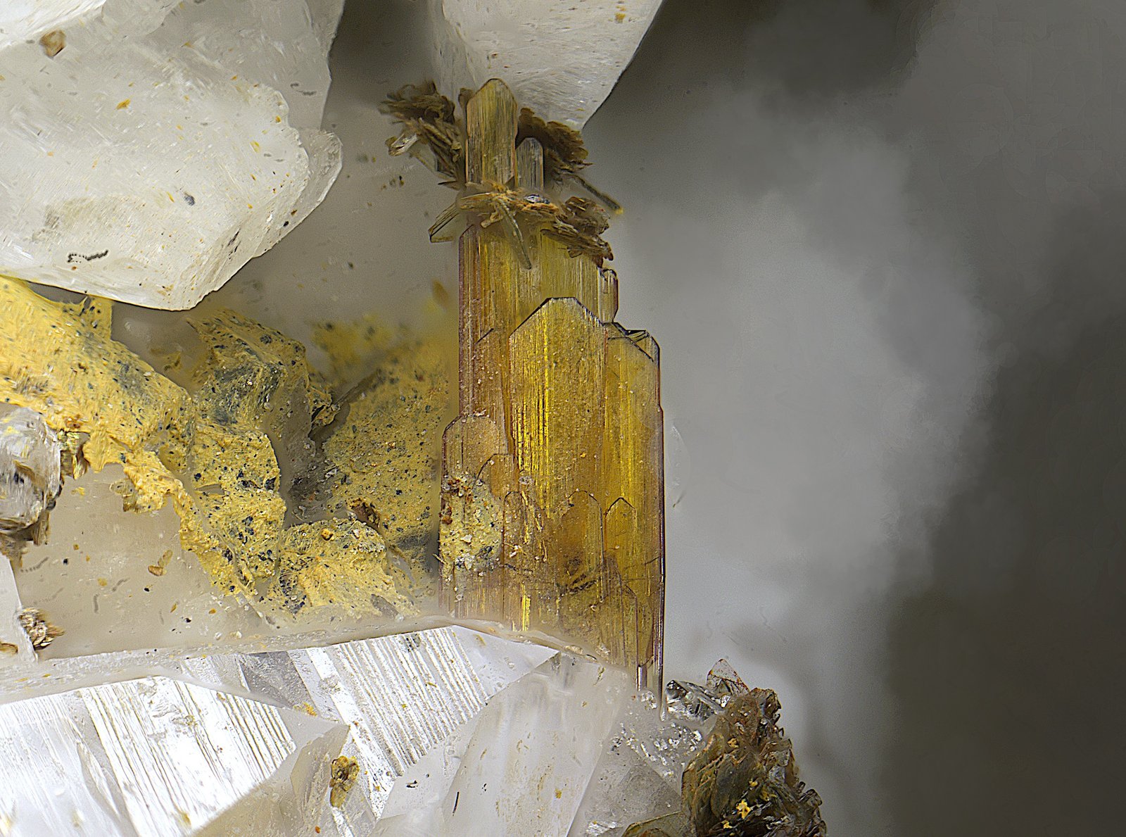 Brookita
cristal de 2,8 mm
(Autor: Antonio Carmona)