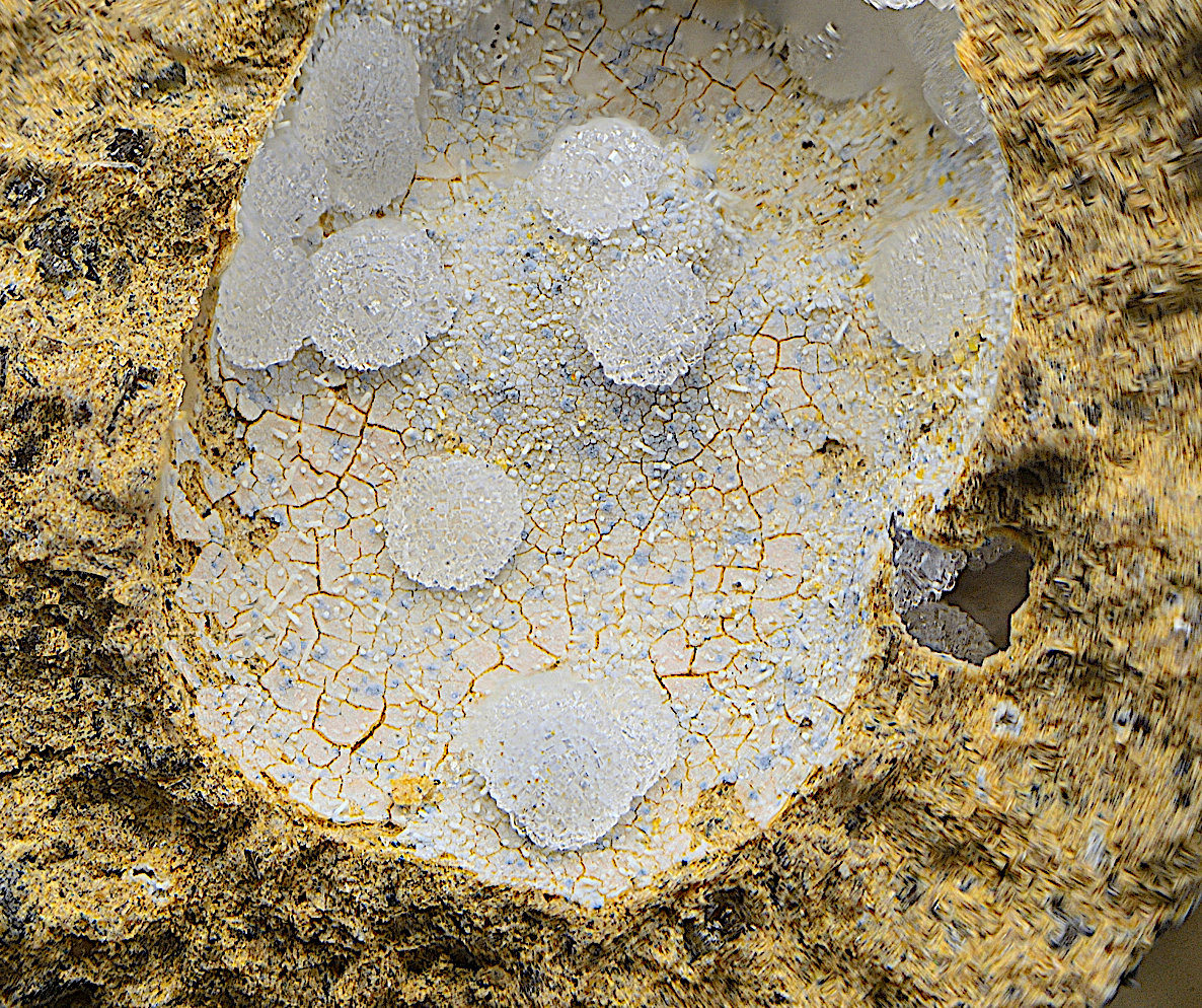 Phillipsita-Na.
Campo de visión de 5 mm.
(Autor: Antonio Carmona)