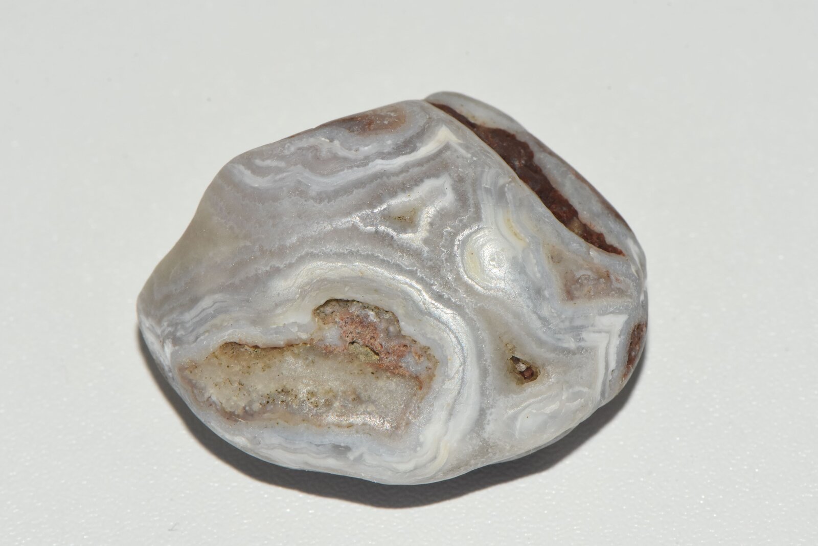 Cuarzo (variedad calcedonia)
Los Escullos, Níjar, Comarca Metropolitana de Almería, Almería, Andalucía, España
4 cm
(Autor: Uryula)