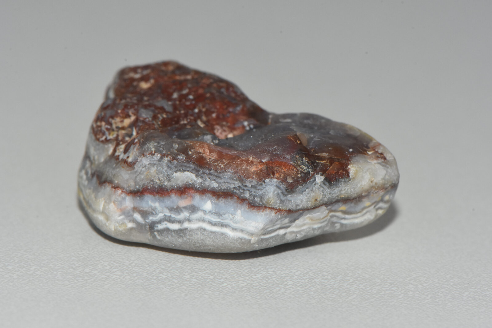 Cuarzo (variedad calcedonia)
Los Escullos, Níjar, Comarca Metropolitana de Almería, Almería, Andalucía, España
4.5 cm
(Autor: Uryula)