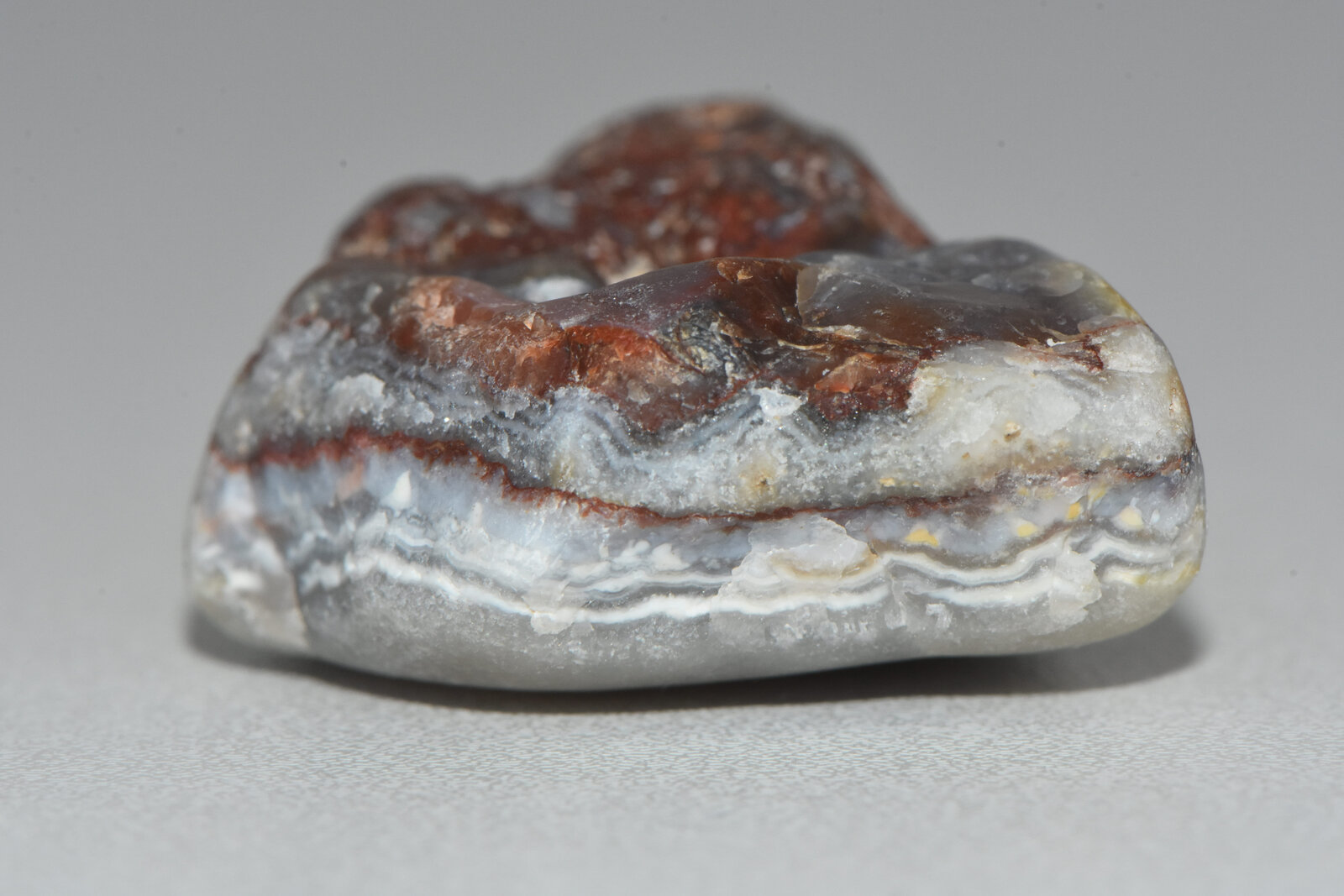 Cuarzo (variedad calcedonia)
Los Escullos, Níjar, Comarca Metropolitana de Almería, Almería, Andalucía, España
4.5 cm
(Autor: Uryula)