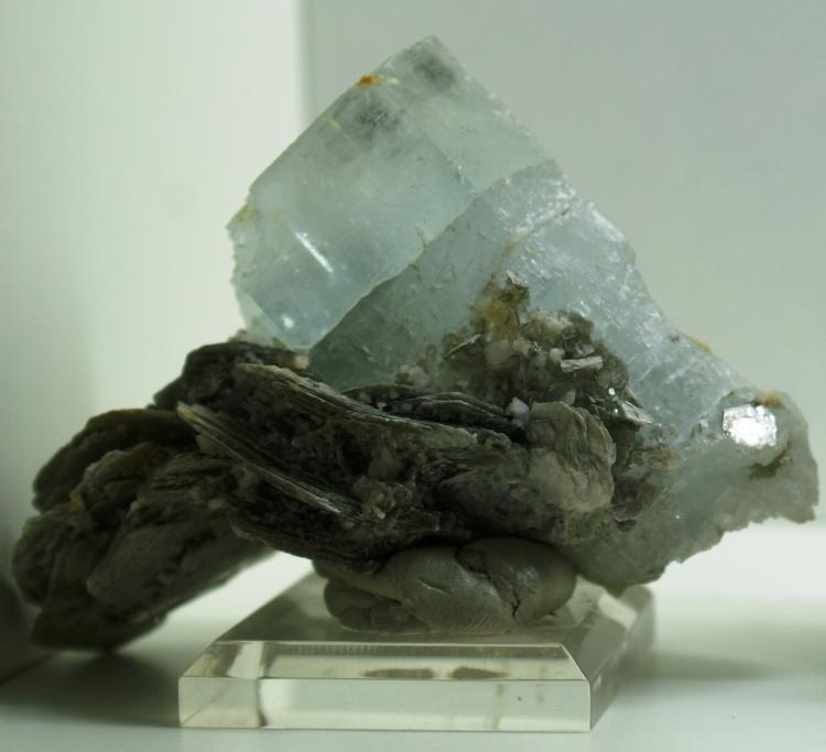(Autor: DavidSG)