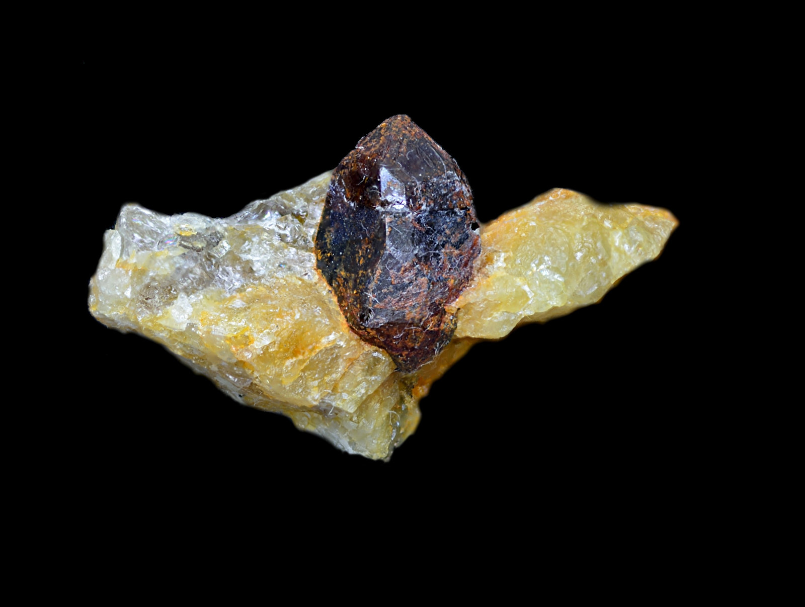 Monazita-(Ce)
Cristal de 10 mm en matriz de pegmatita de 20x12x11 mm
(Autor: Antonio Carmona)