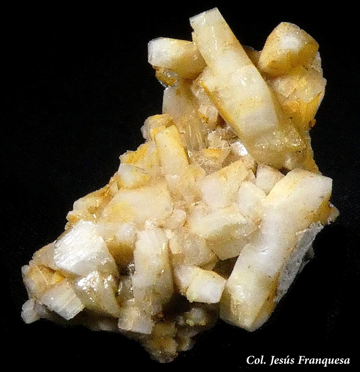Albita.
28x18 mm.
(Autor: Jesus Franquesa Baucells)