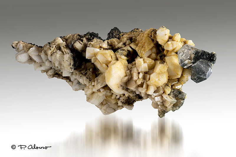 Albita (variedad periclina) + Cuarzo
11cm x 5cm x 3cm
(Autor: Pere Alonso)