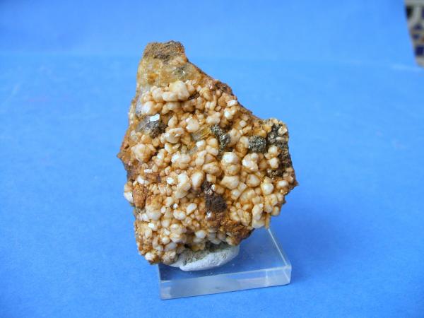 (Autor: Nieves)