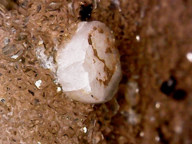 Albita y leucita (pseudoleucita)
4 x 4 x 4,4 mm
(Autor: Anisio Claudio)