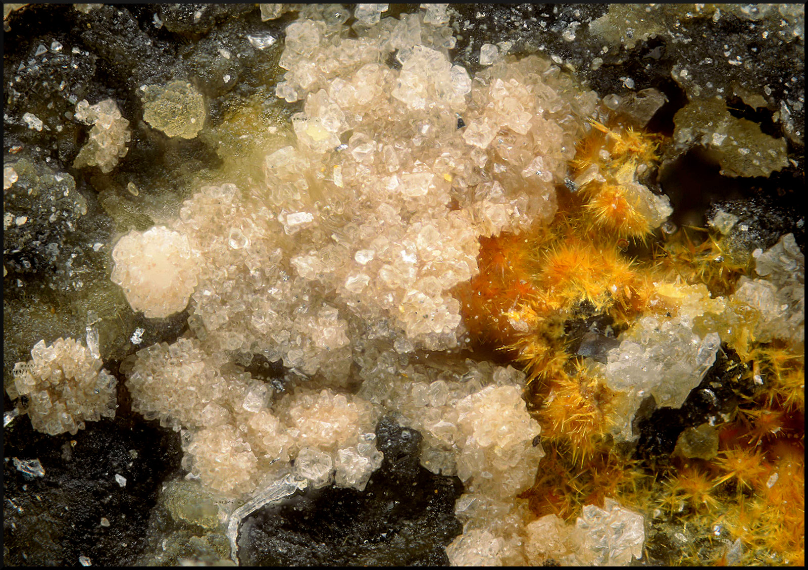 Escorodita y Karibibita.
Campo de visión de 2 mm.
(Autor: Antonio Carmona)
