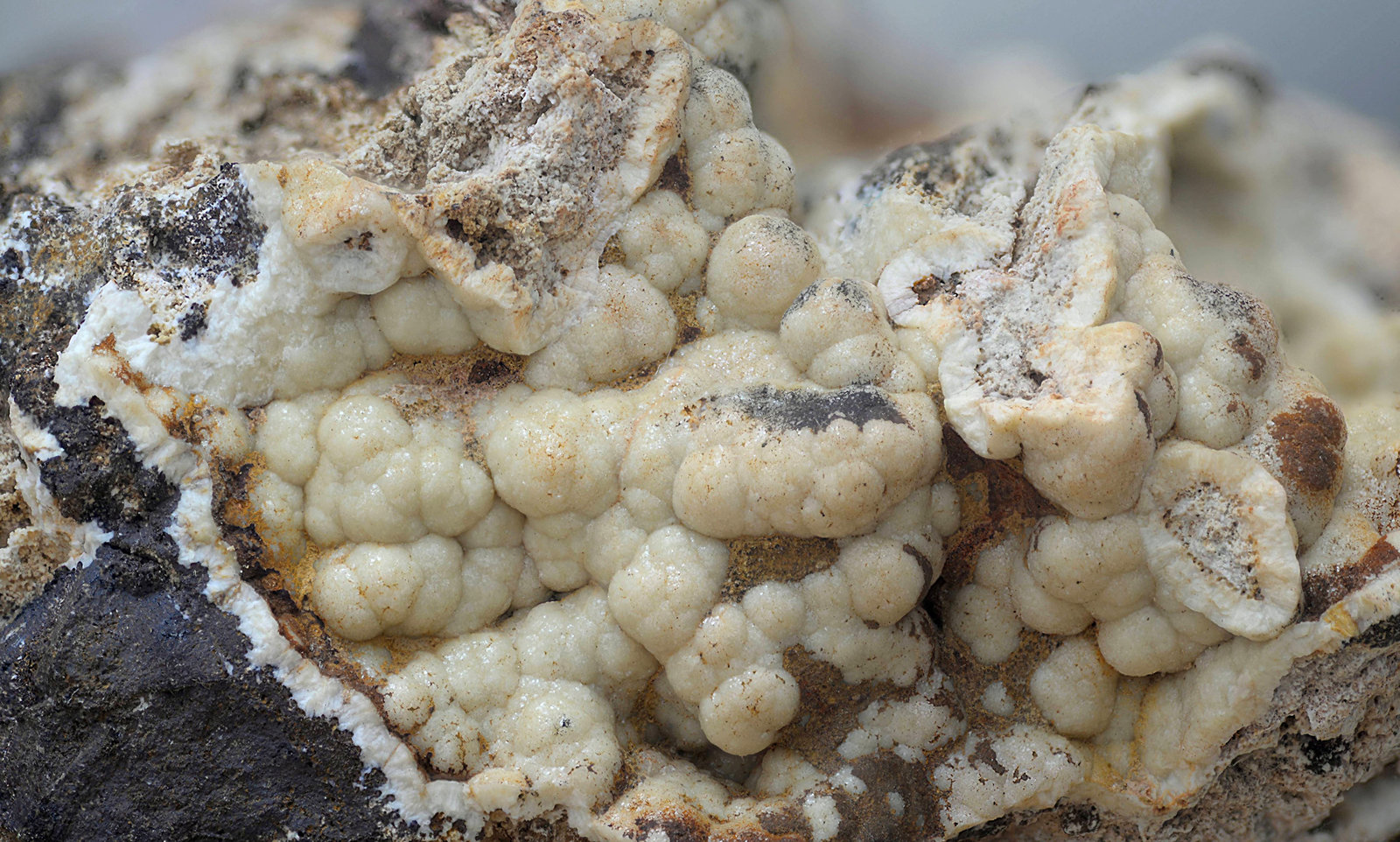 Fluorapatito
80 x 50 mm
(Autor: Antonio Carmona)