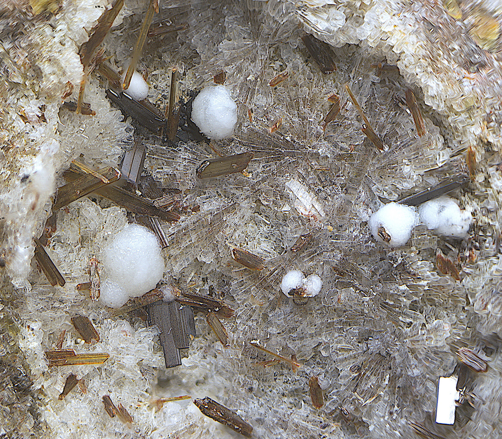 Pseudobrookita, armalcolita,Tridimita y sanidina
Campo de visión de 3 mm.
(Autor: Antonio Carmona)