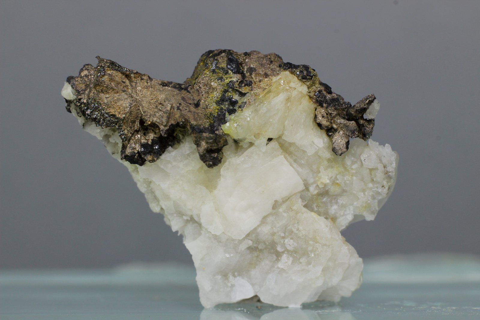 Allargentum
28x21 mm
(Autor: Juan Espino)