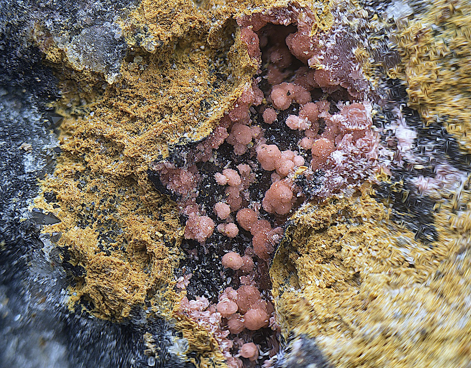 Annabergita (variedad magnésico cobaltífera)
Campo de visión de  5 mm.
(Autor: Antonio Carmona)