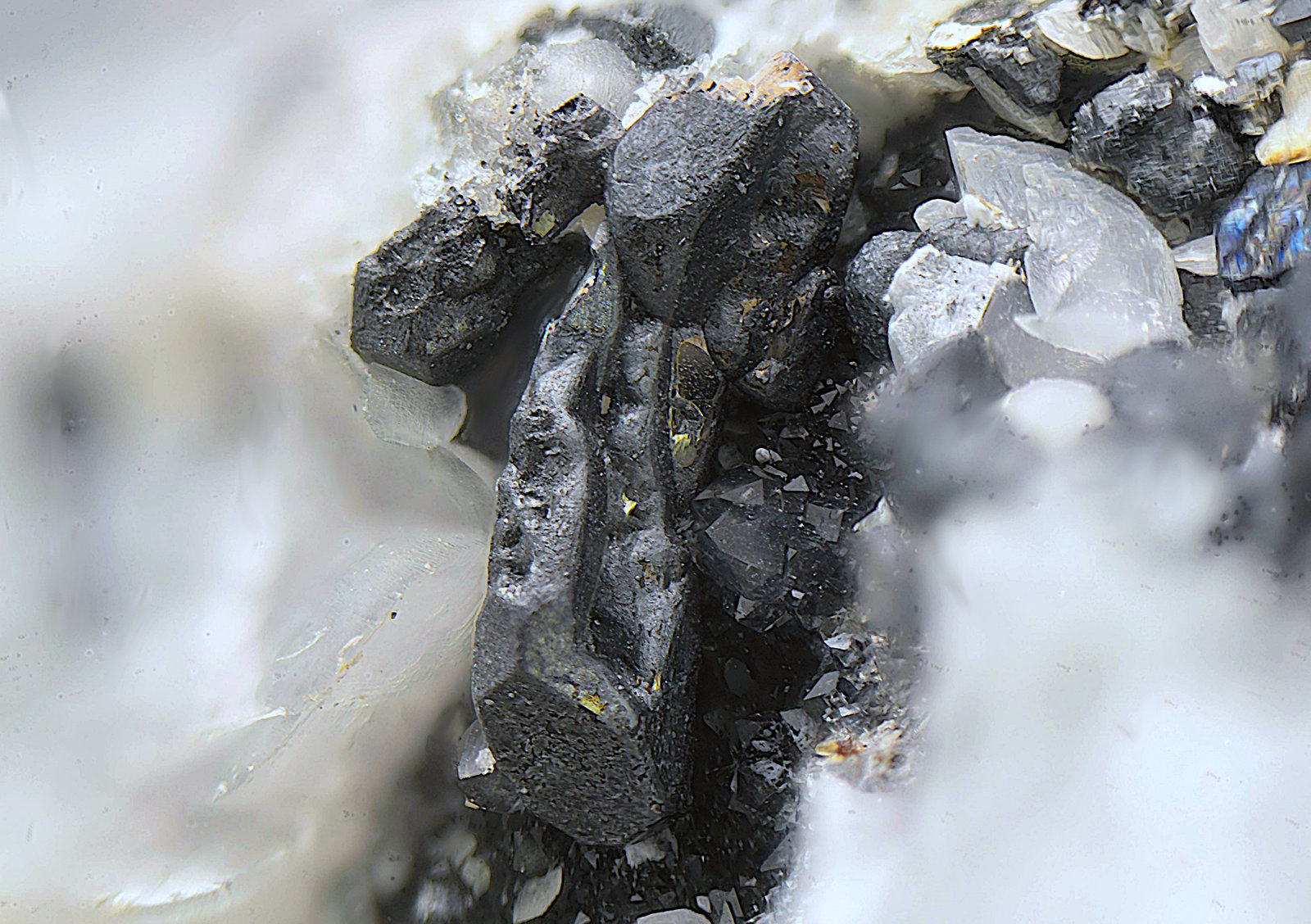 Galena
Campo de visión de 5 mm
(Autor: Antonio Carmona)