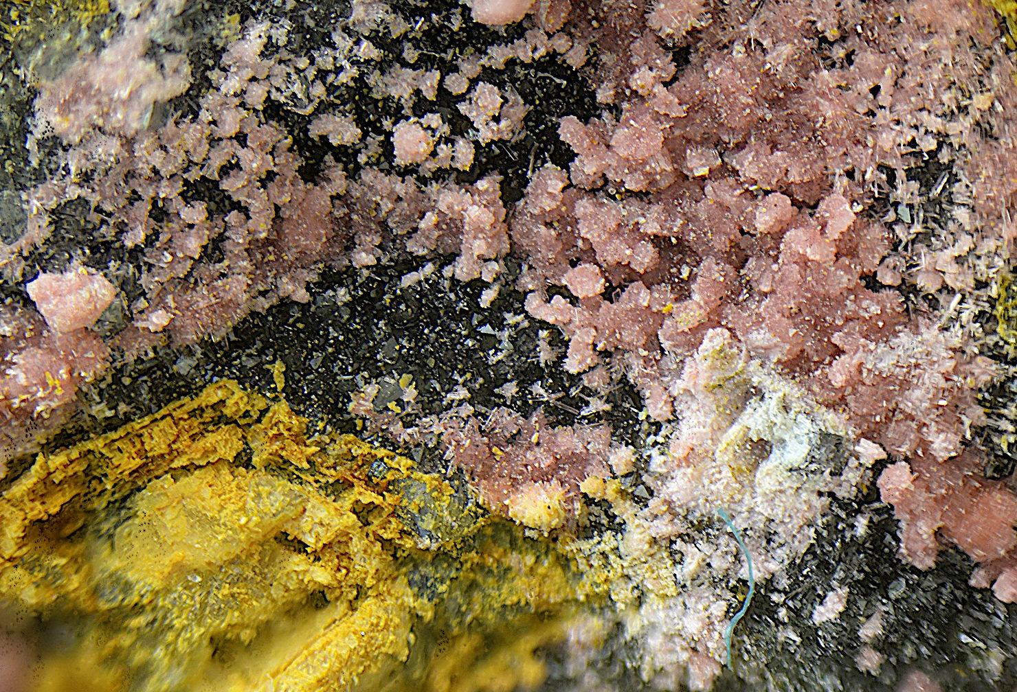 Annabergita (variedad magnésico cobaltífera)
Campo de visión de 1 mm.
(Autor: Antonio Carmona)