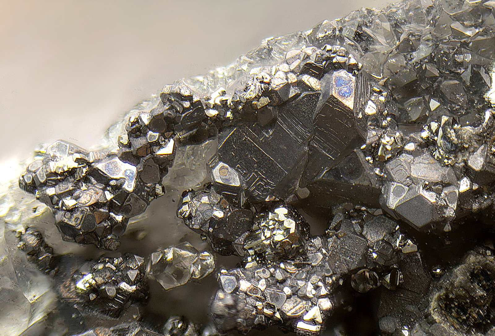Galena (variedad argentífera)
Campo de visión de 3 mm
(Autor: Antonio Carmona)