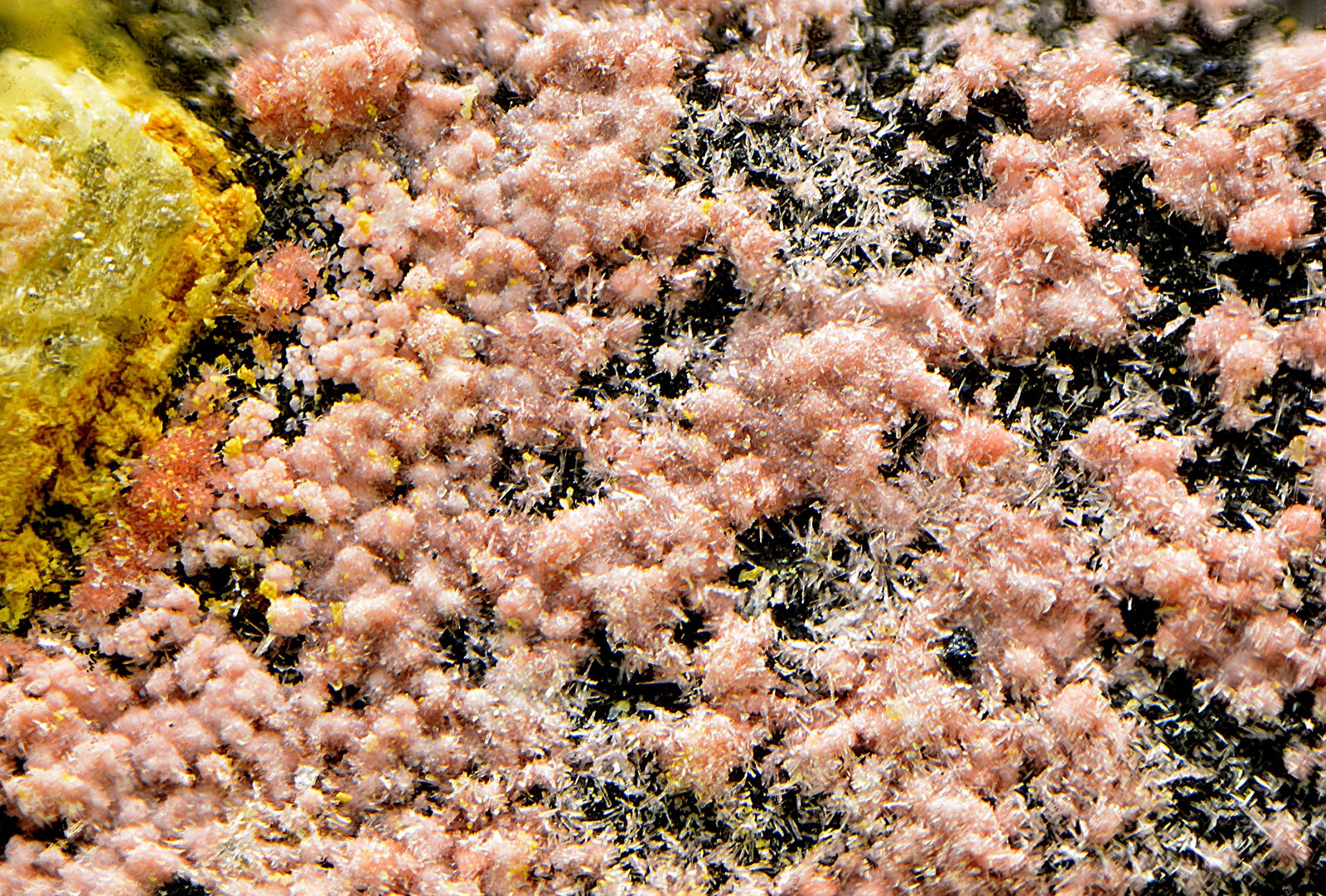 Annabergita (variedad magnésico cobaltífera)
Campo de visión de 2 mm.
(Autor: Antonio Carmona)