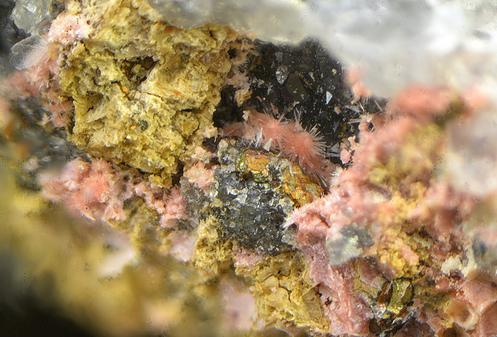Annabergita (variedad magnésico cobaltífera)
Campo de visión de 2 mm.
(Autor: Antonio Carmona)
