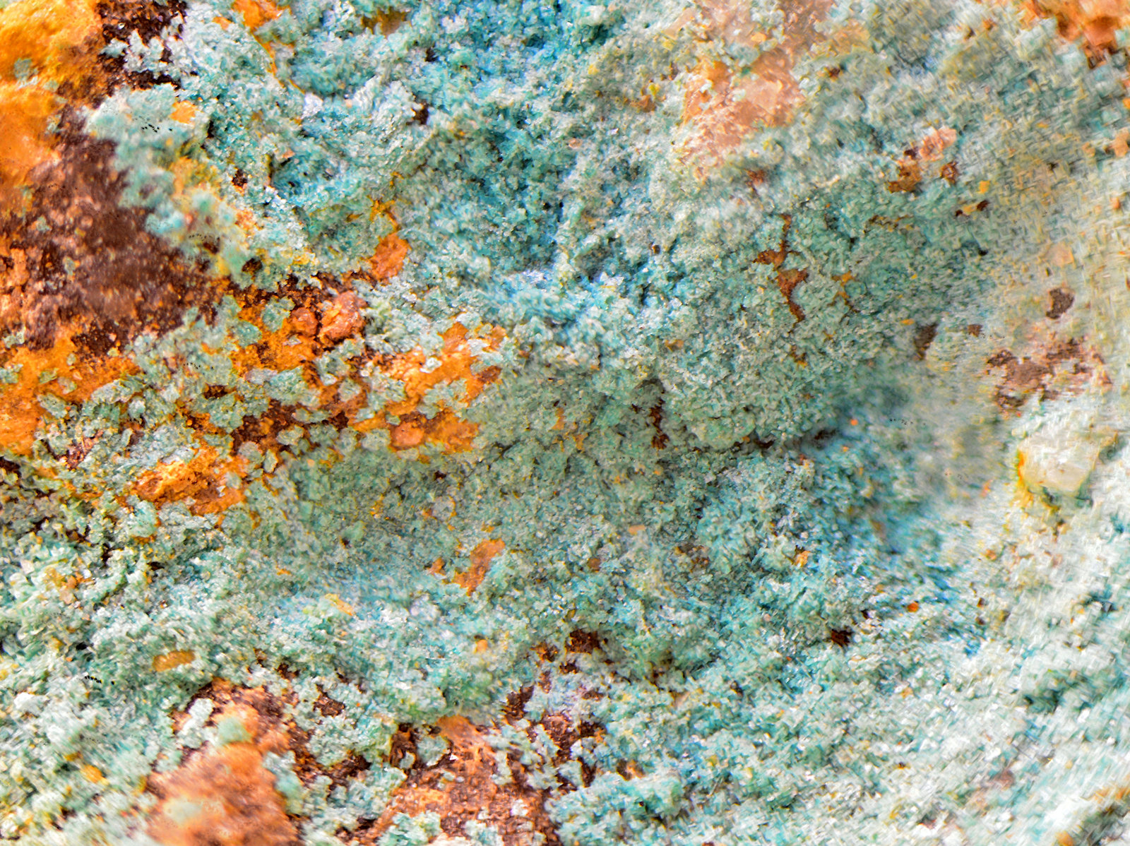 Cotunnita
Campo de visión de 2 mm
(Autor: Antonio Carmona)