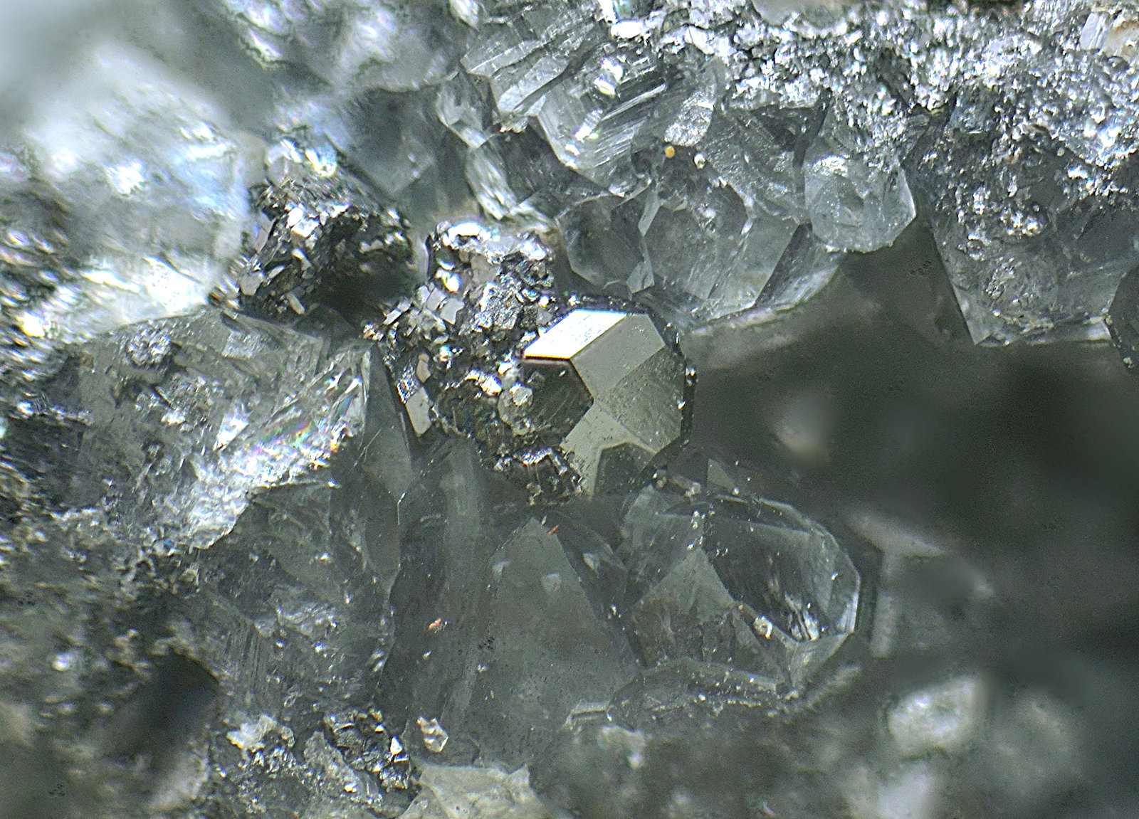 Freibergita
Campo de visión de 2 mm
(Autor: Antonio Carmona)