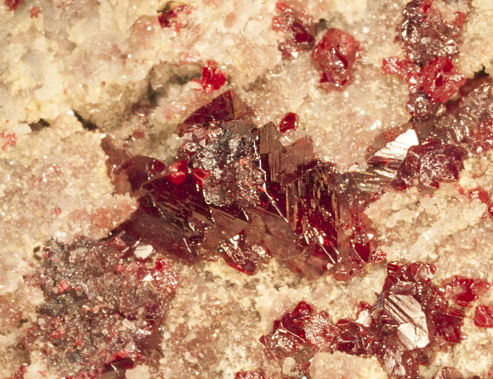 Cinabrio
cristal 1.7cm
(Autor: Raul Vancouver)