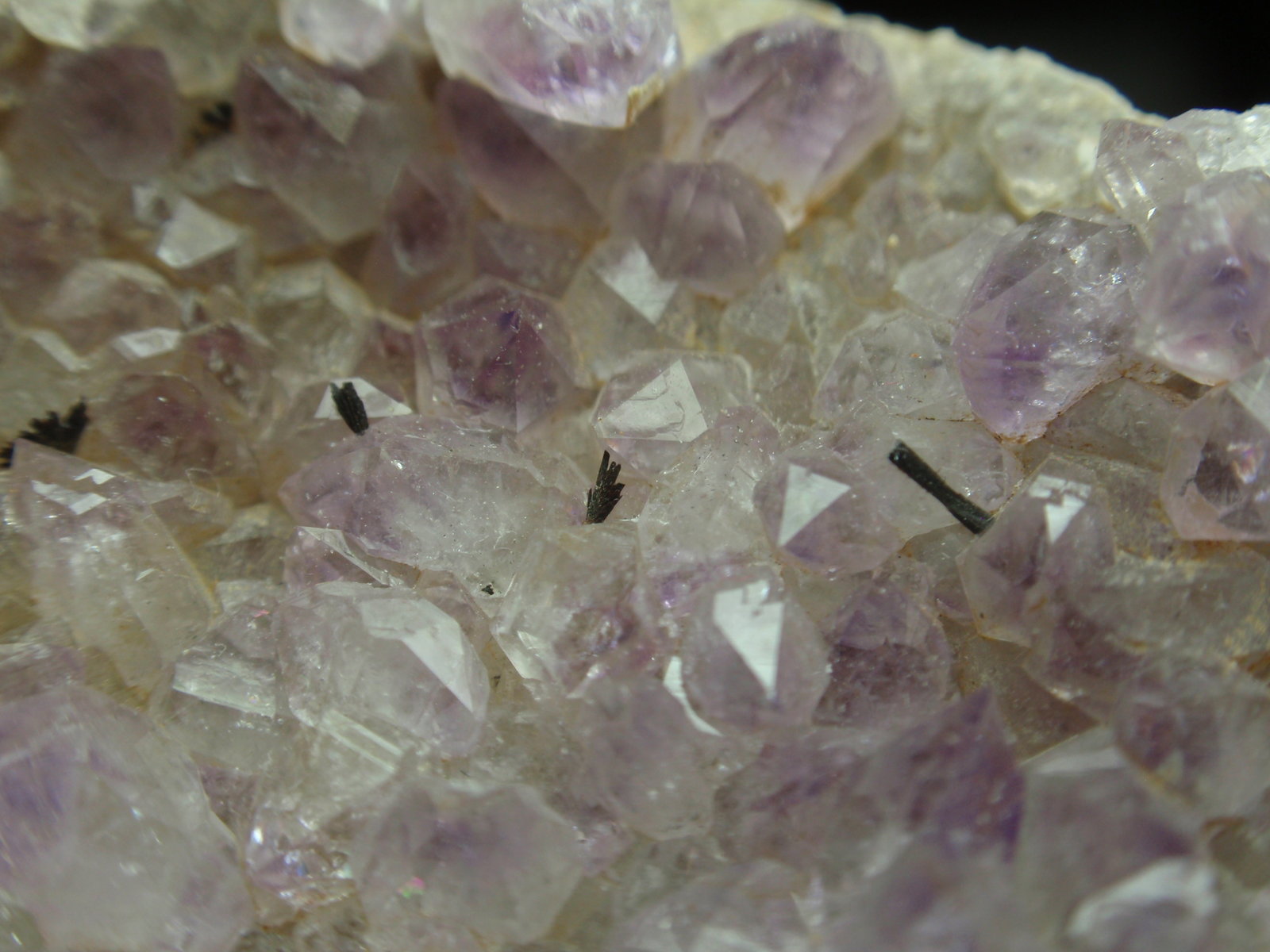 Cuarzo (variedad amatista) con Hematites
35x50 mm
(Autor: Ignacio)