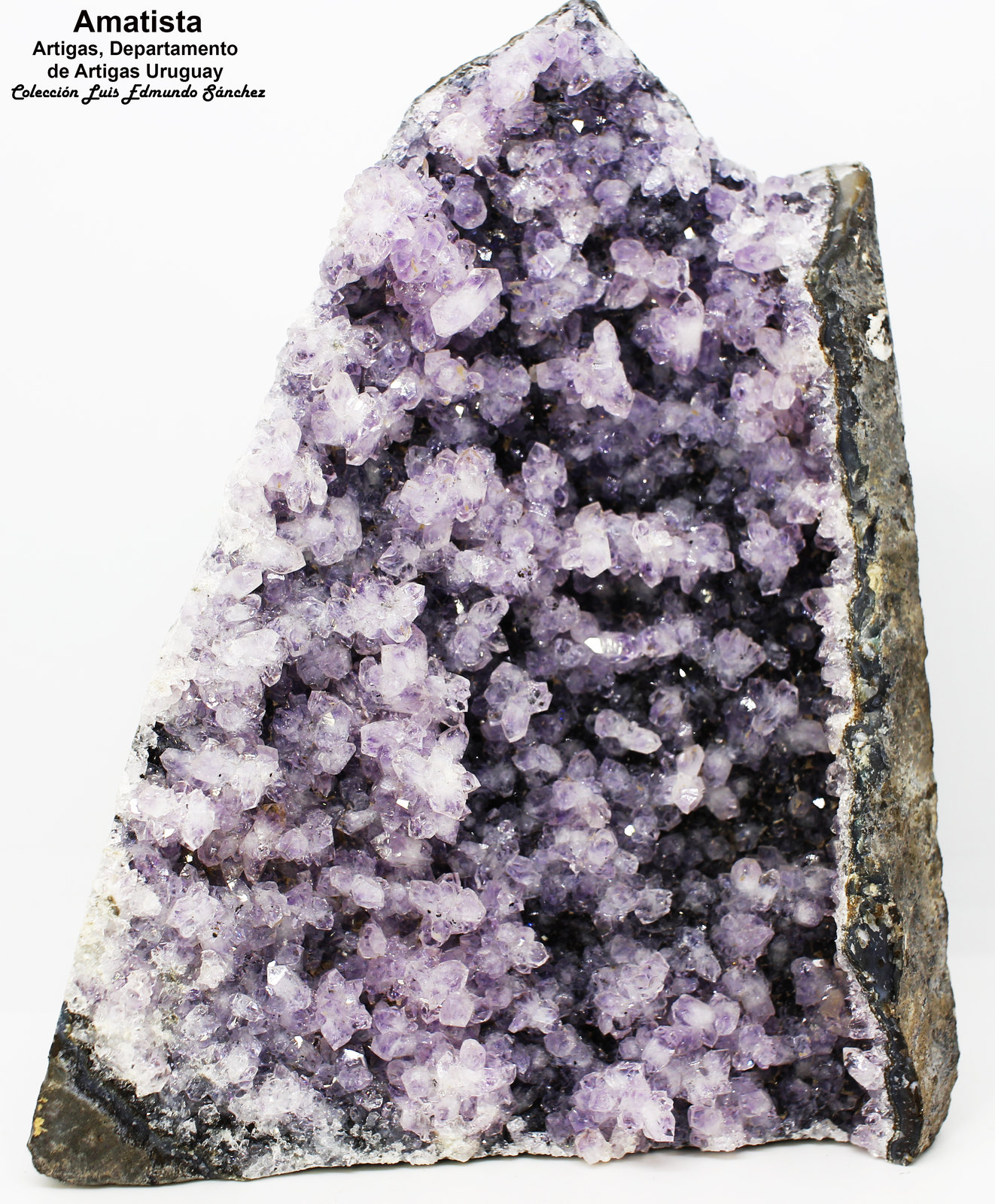 Cuarzo (variedad amatista)
11.5x8.5x4 cm
(Autor: Luis Edmundo Sánchez Roja)
