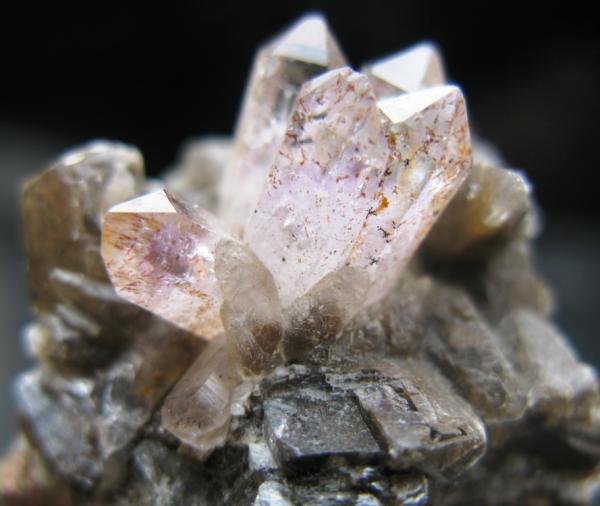 Amatista. Montes <br />16 mm.