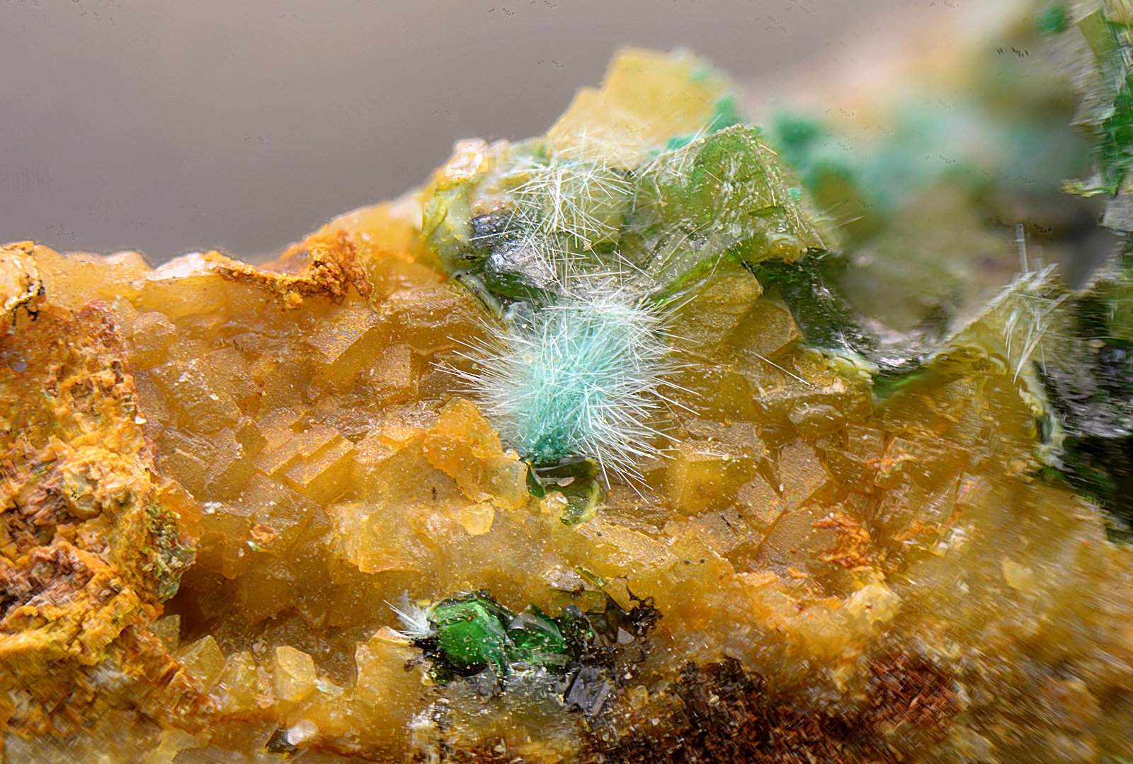 Mixita
Campo de visión de 3 mm.
(Autor: Antonio Carmona)