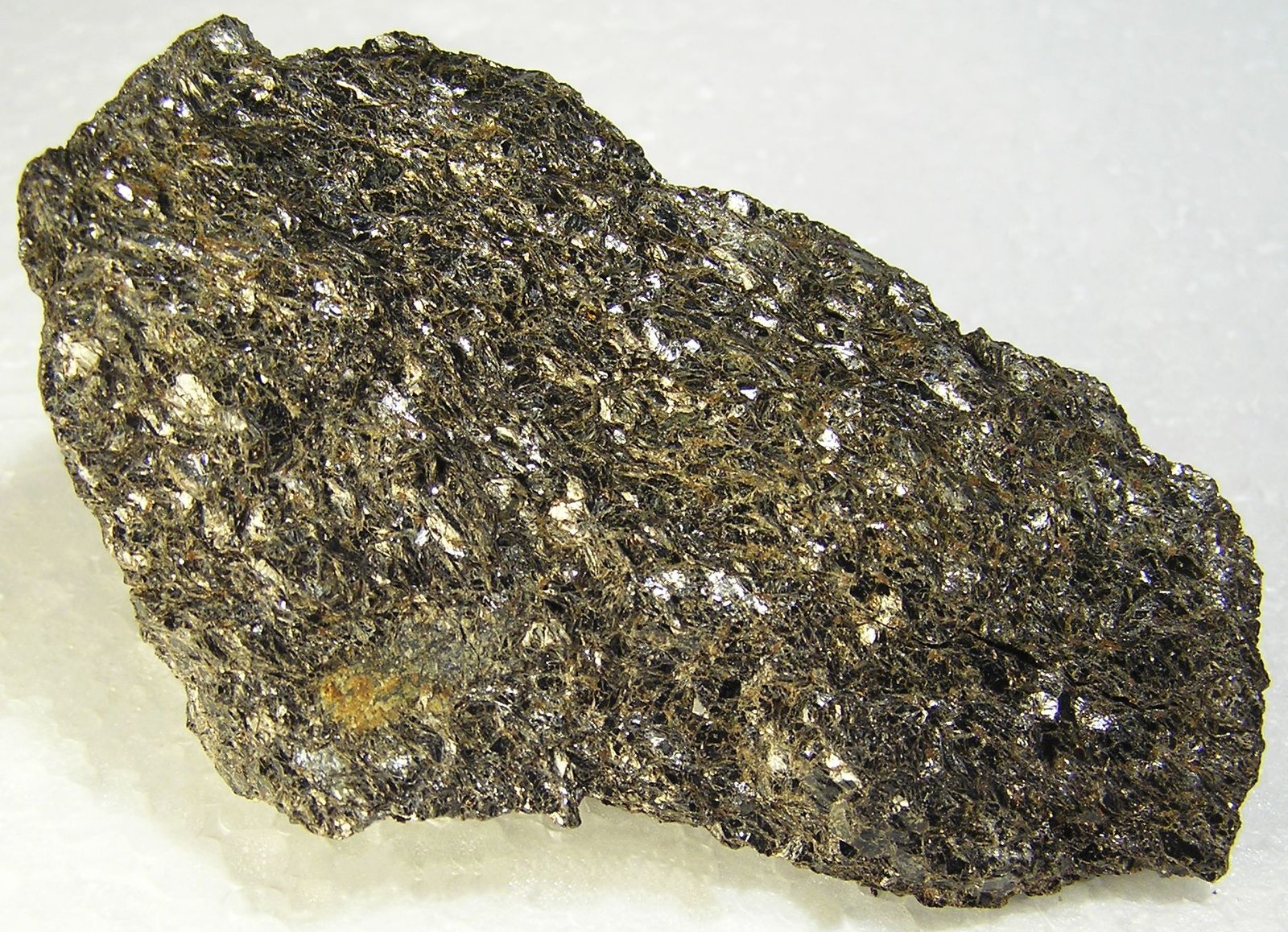 Annita
9,5 x 6,1 cm.
(Autor: Frederic Varela)