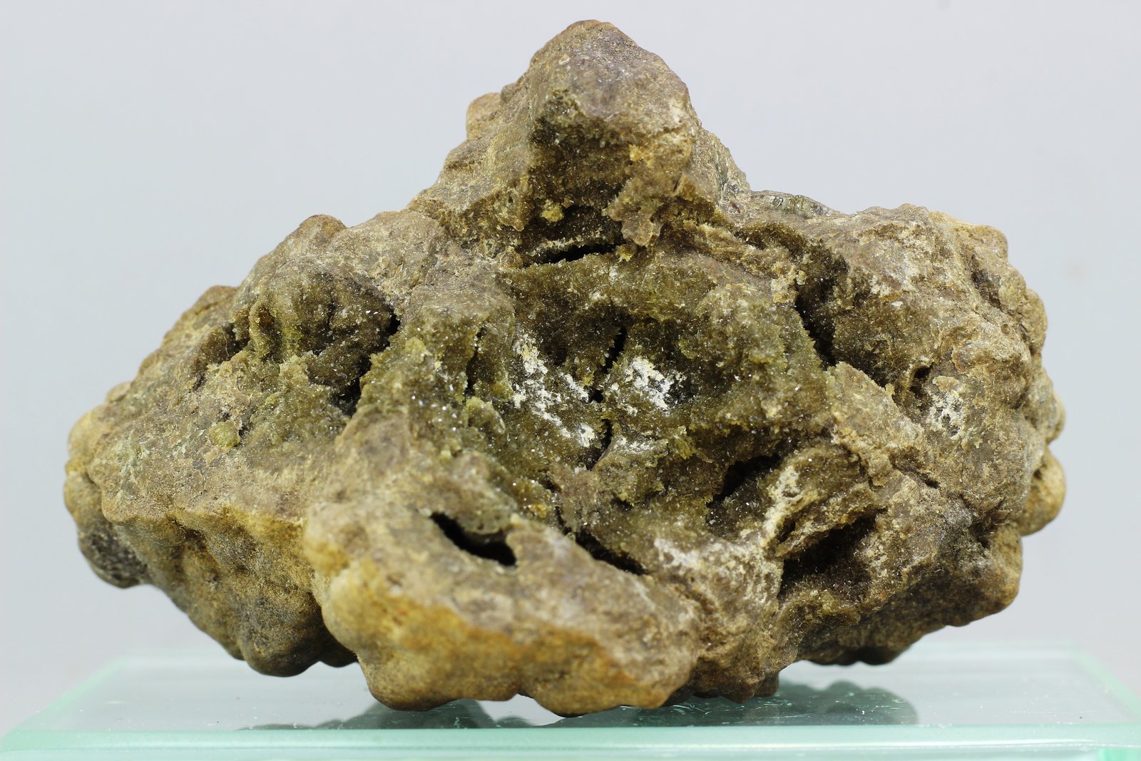 Anapaíta
66x44 mm
(Autor: Juan Espino)