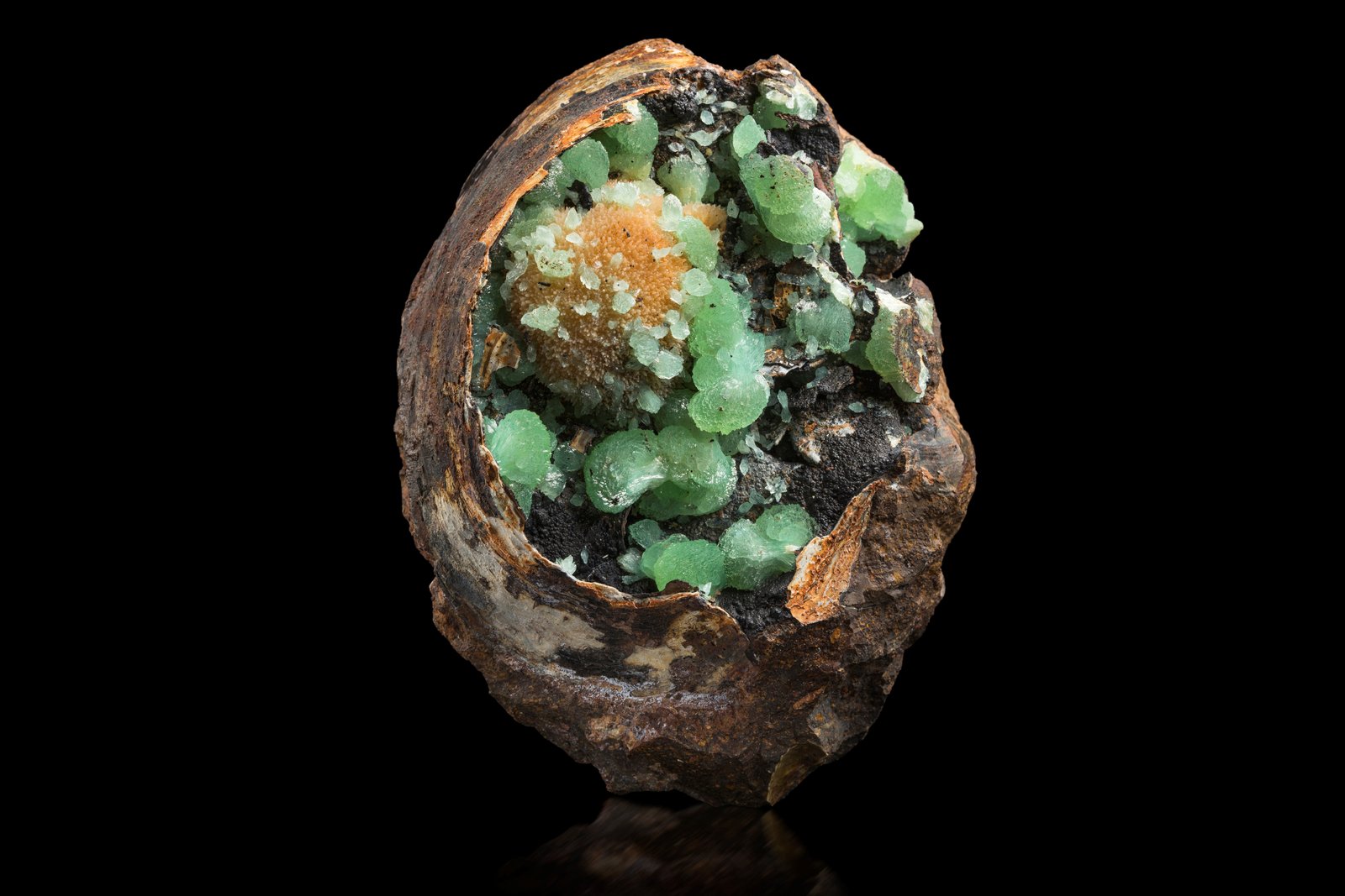 Anapaíta
8.5 x 10 x 6 cm
(Autor: Museo MIM)