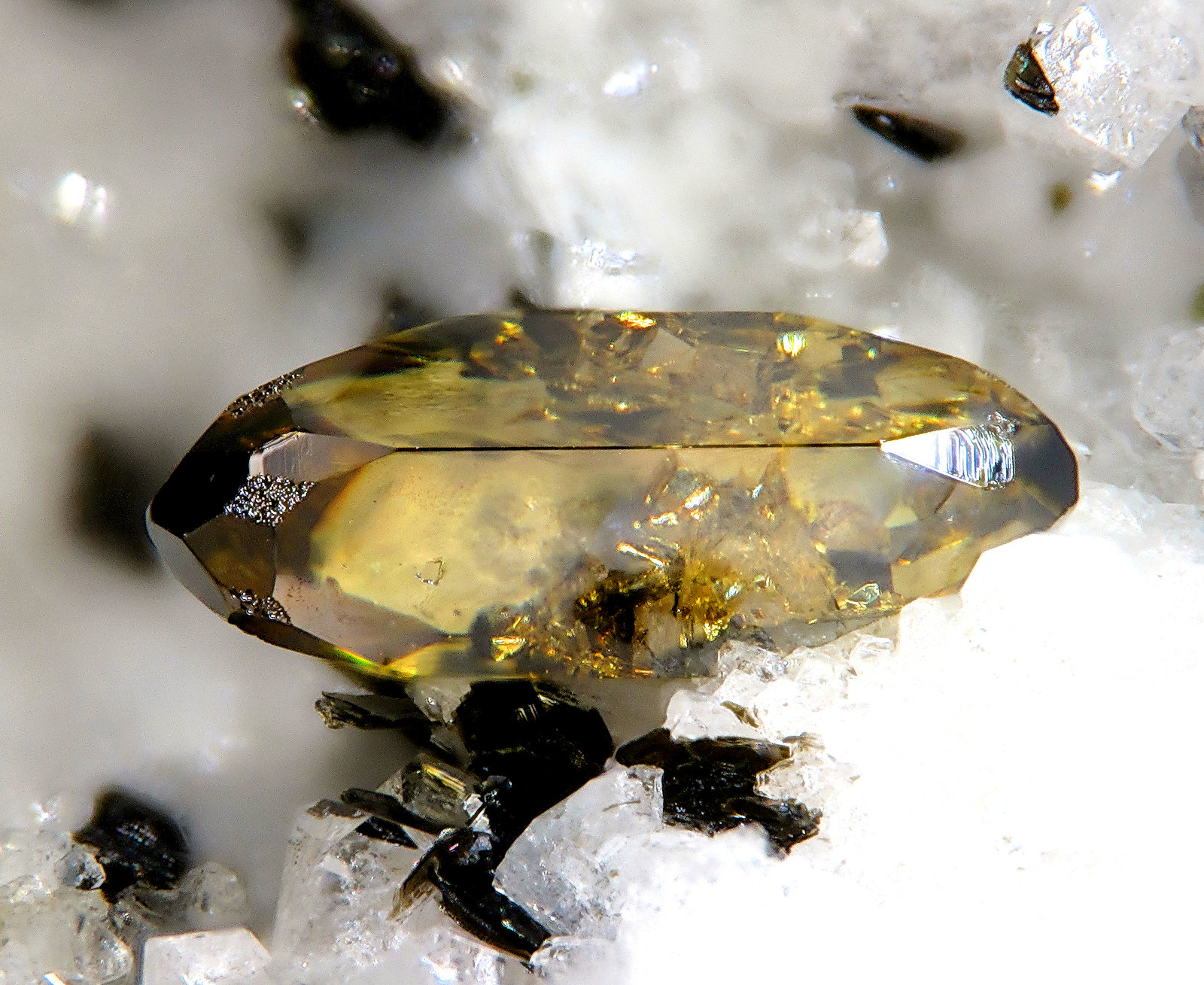 Anatasa
fov 2,1 mm
(Autor: Jordi Fabre)