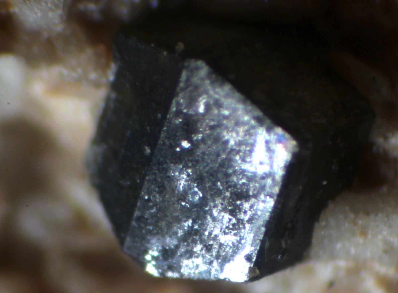 Anatasa
1,5 mm.
(Autor: José Luis Zamora)