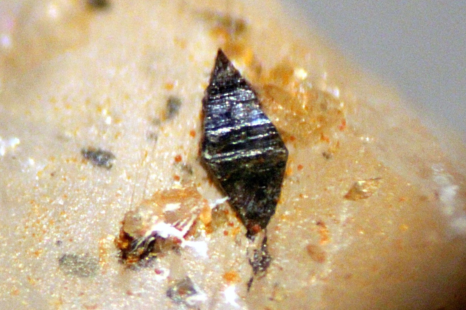 Cuarzo, Brookita, Anatasa
32 x 14 x 8 mm.
(Autor: José Luis Zamora)