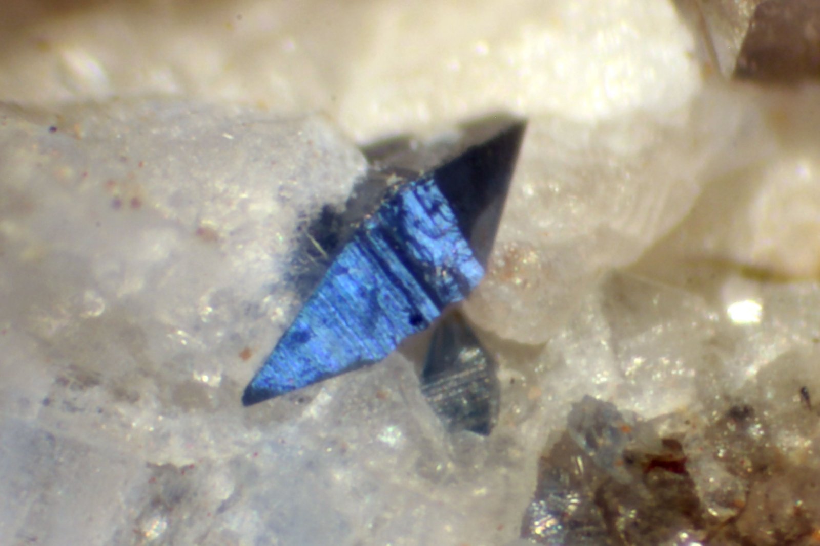 Anatasa
< 1 mm.
(Autor: José Luis Zamora)