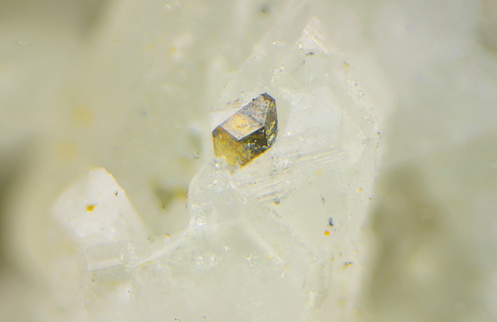 Anatasa sobre albita
Campo de visión de 1,5 mm
(Autor: Antonio Carmona)