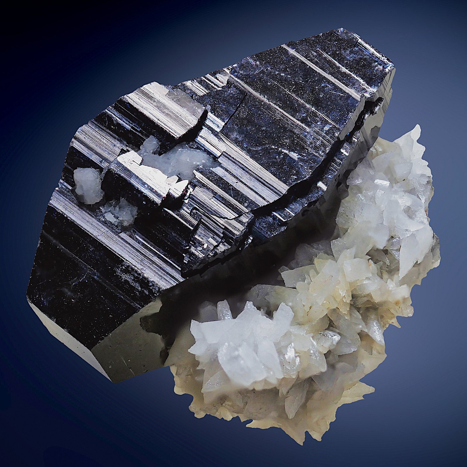 Anatasa
20 x 15 mm
(Autor: Borja Sainz de Baranda)