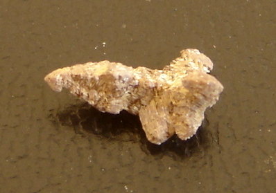 Anatasa con Rutilo
1,3 x 0,6 x 0,4 cm
(Autor: Anisio Claudio)