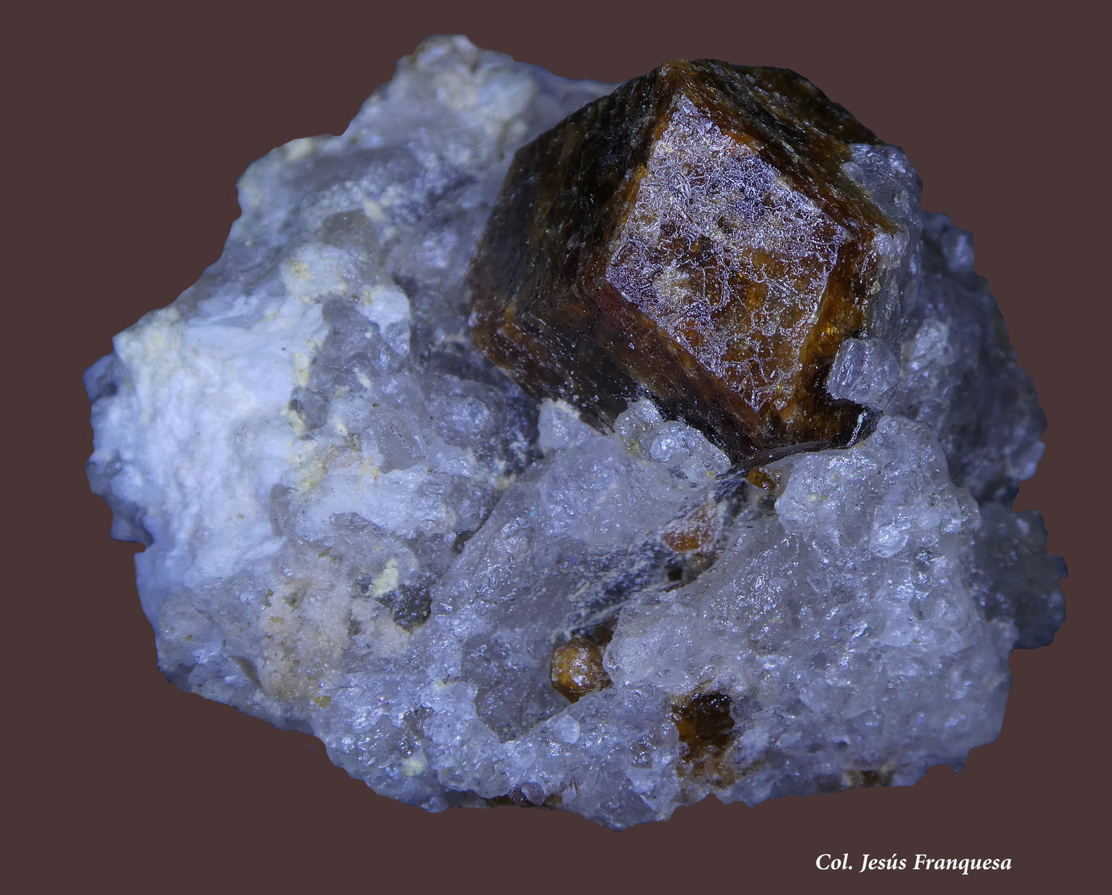 Andradita (variedad topazolita)
45x40 mm. Cristal .20x15 mm.
(Autor: Jesus Franquesa Baucells)