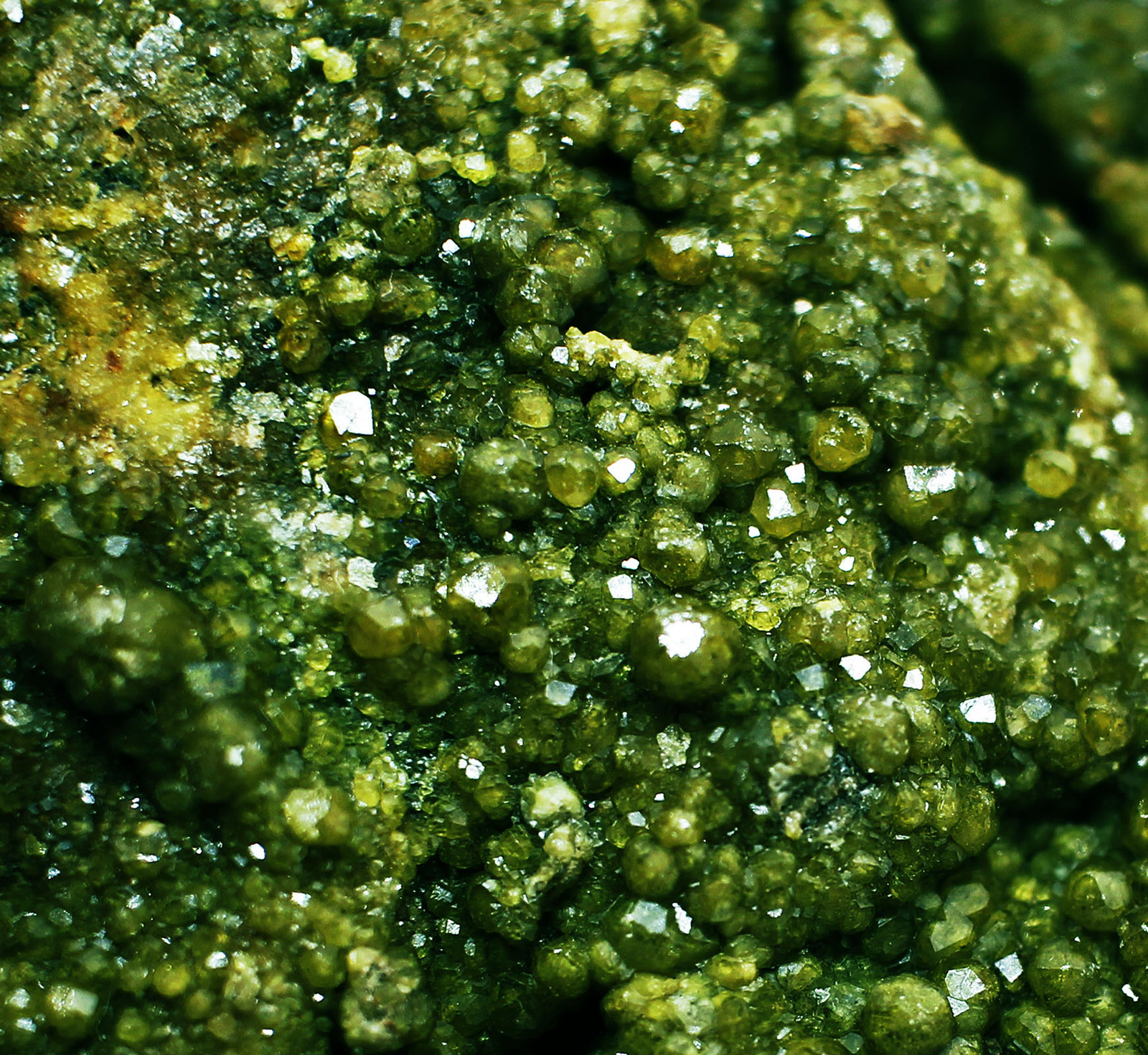 Andradita (variedad demantoide)
9x6x2 cm
(Autor: Luis Edmundo Sánchez Roja)