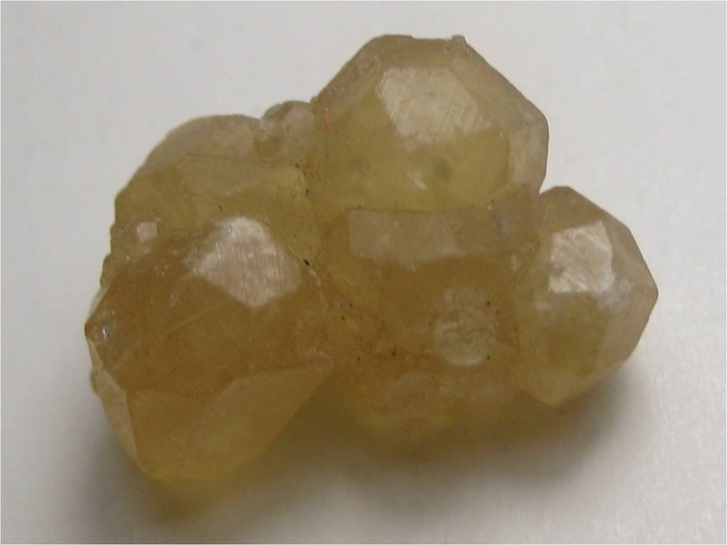 Andradita
4 cm
(Autor: marco campos-venuti)