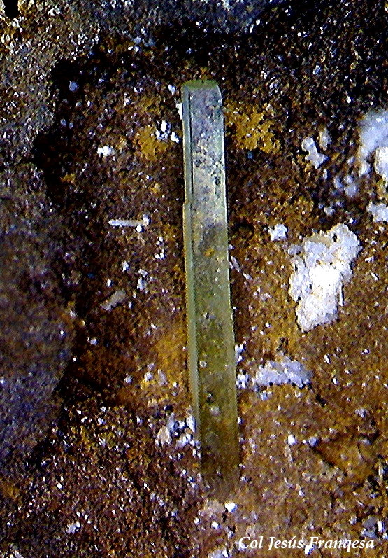Anglesita.
5´39 x 0´60 mm.
(Autor: Jesus Franquesa Baucells)