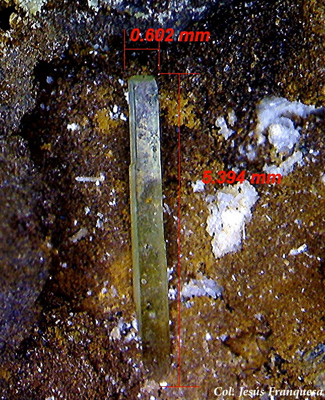 Anglesita.
5´39 x 0´60 mm.
(Autor: Jesus Franquesa Baucells)
