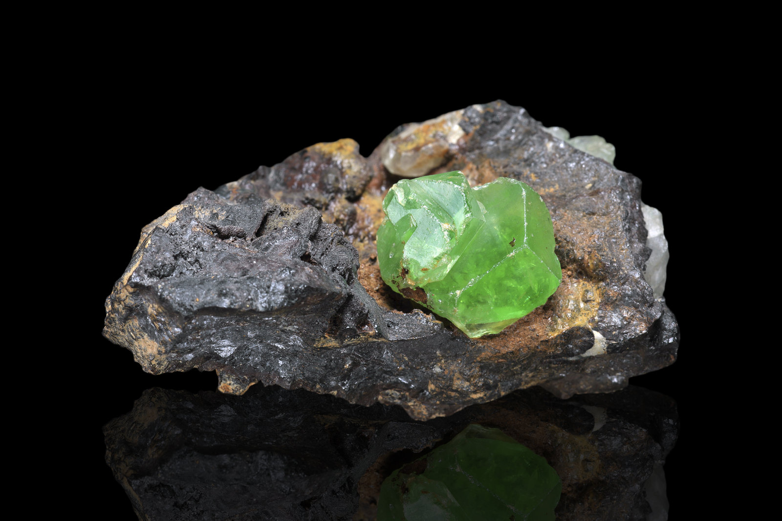 Anglesita en Galena
6.5 x 5 x 3 cm / Cristal principal: 1.6 cm.
(Autor: Museo MIM)