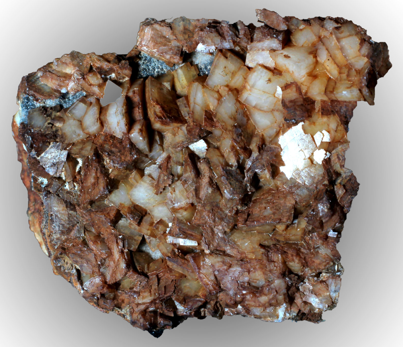 Dolomita (variedad ferrífera)
42 x 35 x 18 mm
(Autor: José Luis Zamora)