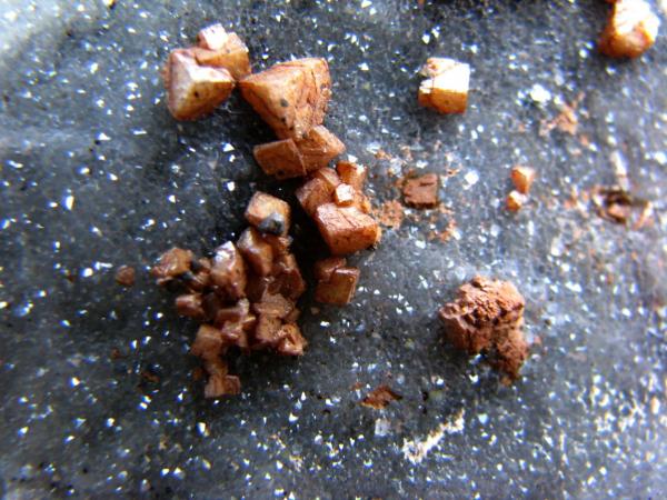 Ankerita
76 x 54 mm.; cristales de 4 mm.
(Autor: José Luis Zamora)