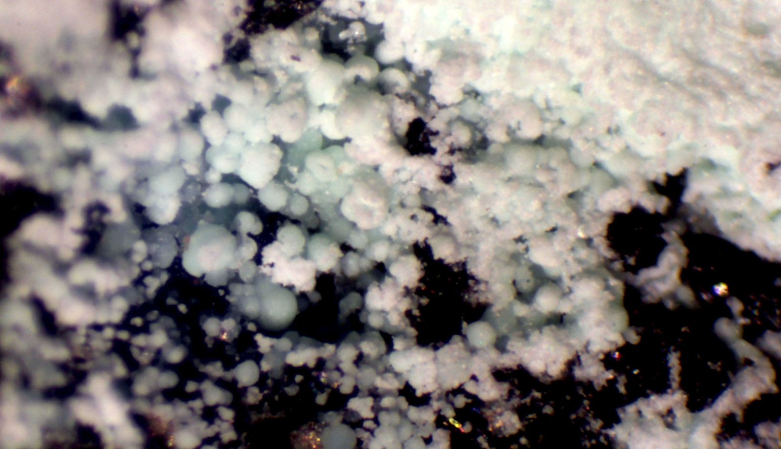 Annabergita
< 1 mm
(Autor: José Luis Zamora)